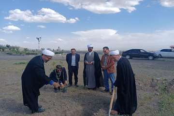درختکاری دانشکده علوم قرانی سبزوار
